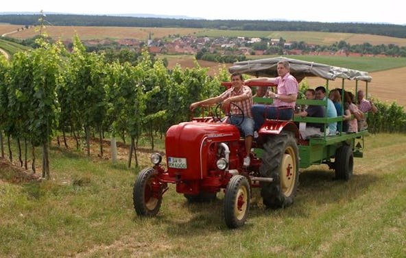 Weinseminar in Zeilitzheim (Rundfahrt & Verkostung)