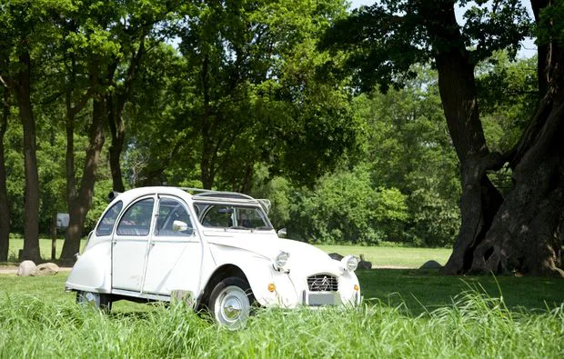 Oldtimer Selber Fahren für 2 Ootmarsum - 5