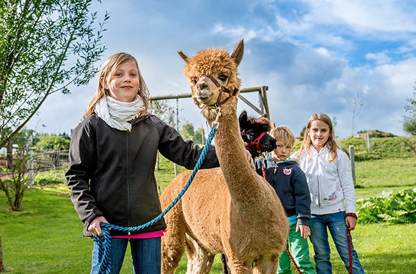 Bauernhof Besuch Bad Großpertholz