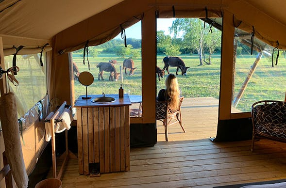 Camping im Tierpark Arche Warder für 2 (2 Nächte)