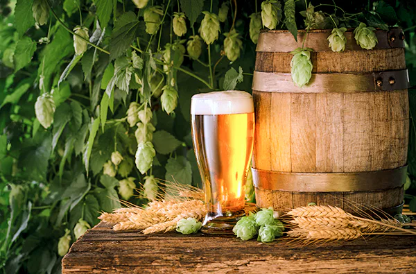 Erlebnistag Bamberg mit Biertour für 2 - 6