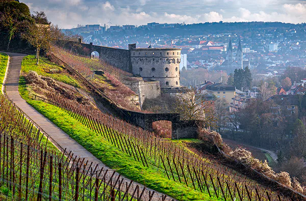 Erlebnistag Würzburg mit Weinverkostung für 2 - 5