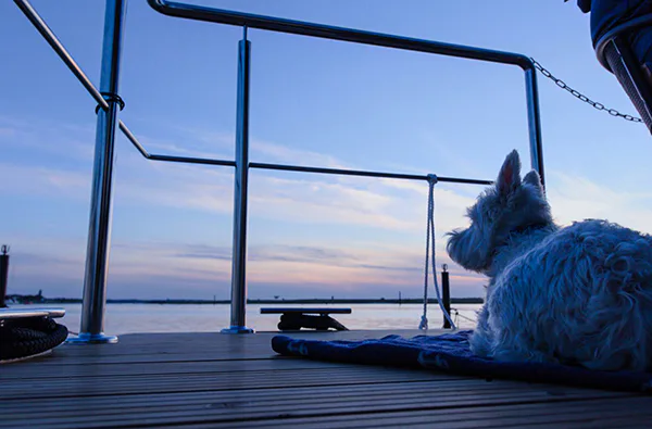 Hausboot mieten mit Sauna für 2 (5 Tage) - 6