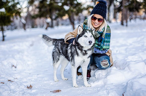 Familientag mit Huskies bei Deggendorf