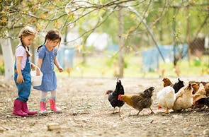 Kindertag am Bauernhof in Wiener Neustadt