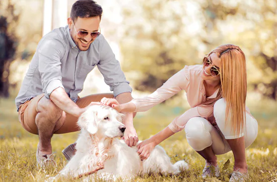Kurzurlaub mit Hund für 2 - 2