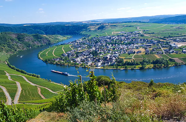 Geführte Mofa Tour in Zeltingen-Rachtig für 2 - 2