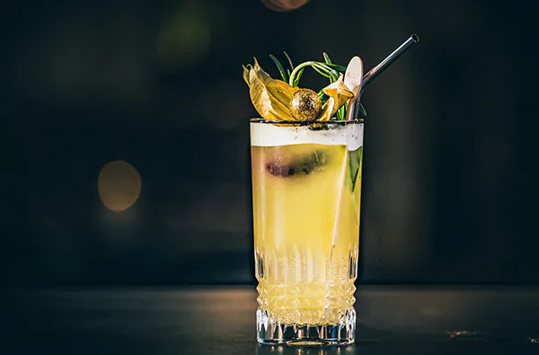 Online Cocktailkurs mit Mario Hofferer (ca. 2,5 Std.) - 4