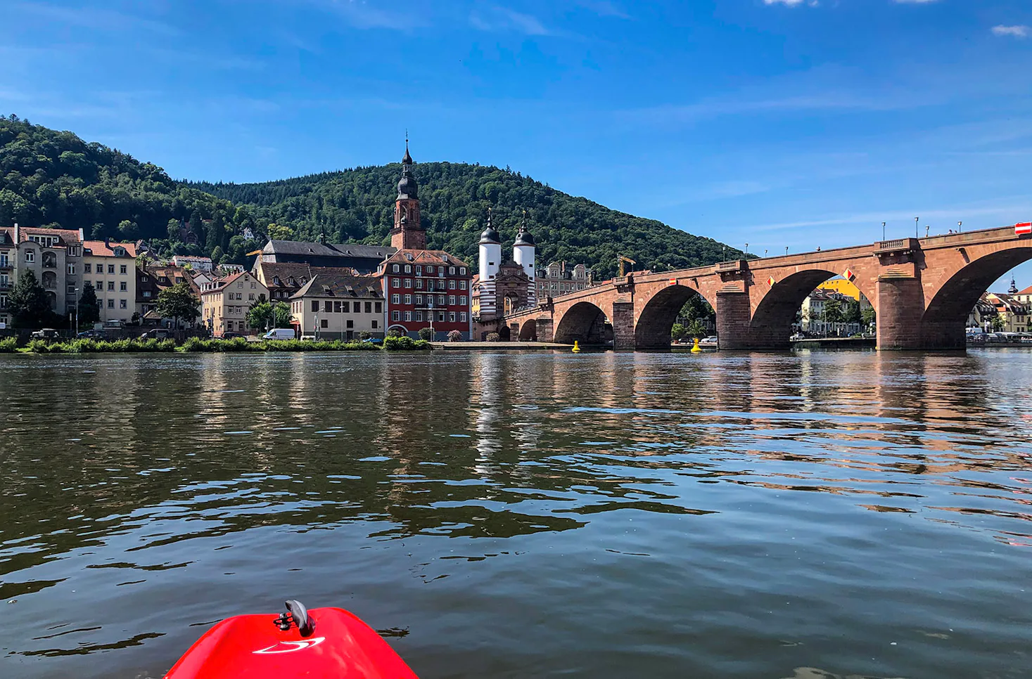 Paddle Tour Heidelberg (2 Std.) - 3