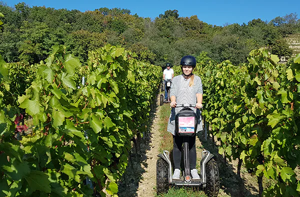 Segway Tour durch die Weingärten von Jois - 3