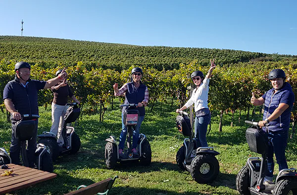 Segway Tour durch die Weingärten von Jois - 4