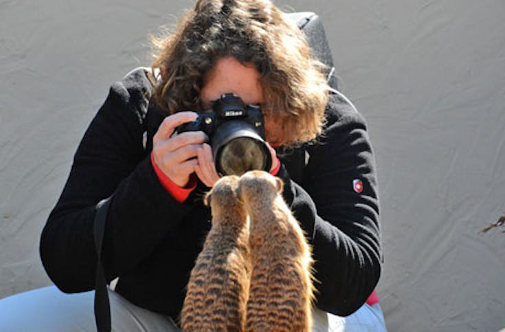 Tierfotografie für Einsteiger im Tierpark