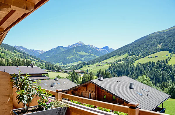 Urlaub mit Hund Alpbachtal für 2 (2 Nächte) - 2