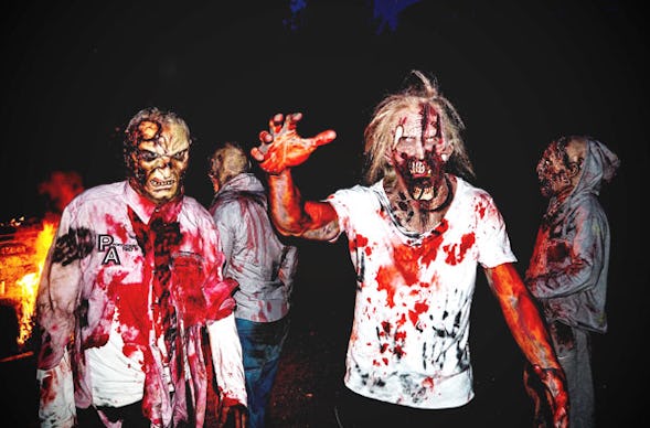 The Living Dead Experience