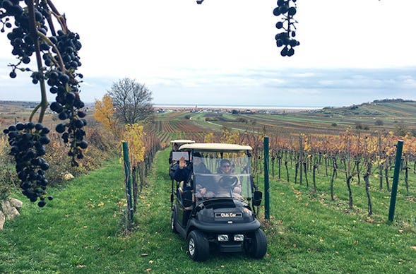 Weinbergsrundfahrt Jois (2 Stunden)