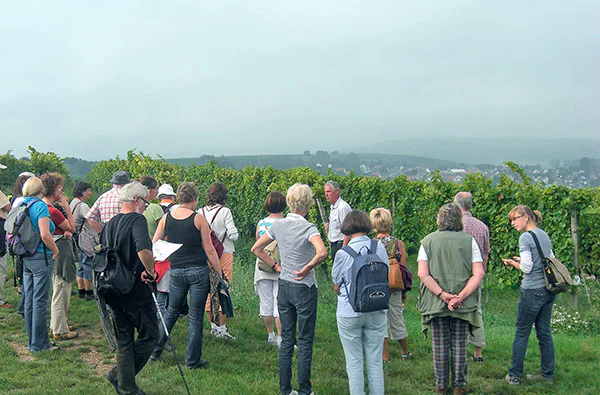 Weinbergwanderung Volxheim mit Verkostung - 2
