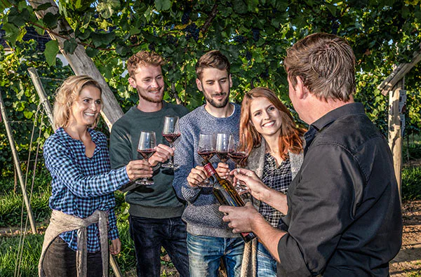 Ein Tag auf dem Weingut mit Übernachtung in der Pfalz für 2 - 2