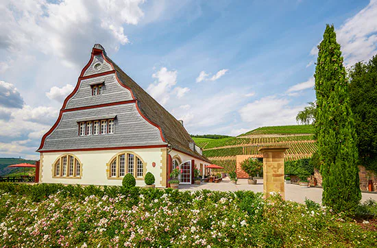 Weingut-Kurzurlaub an der Nahe für 2 (2 Nächte) - 1