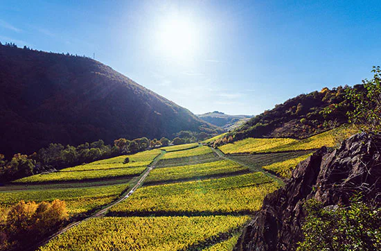 Weingut-Kurzurlaub an der Nahe für 2 (2 Nächte) - 5