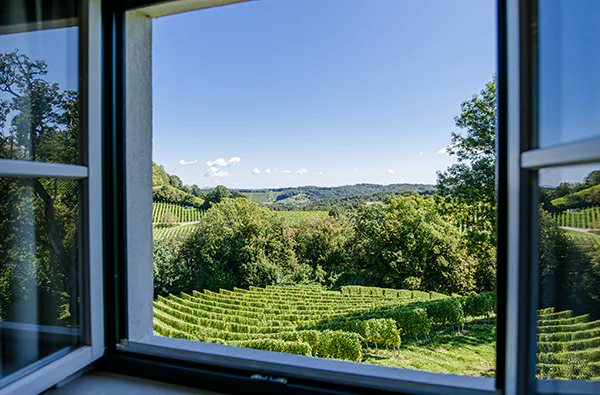 Weinreise Grassnitzberg für 2 (1 Nacht) - 4