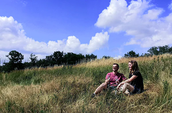 Picknick im Weingarten Hohenruppersdorf für 2 - 2