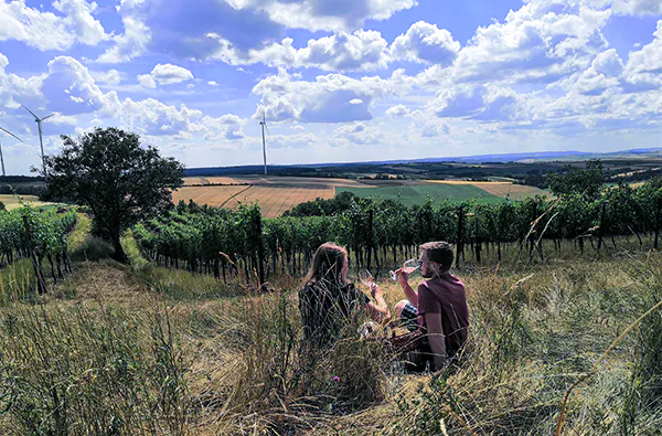 Picknick im Weingarten Hohenruppersdorf für 2 - 3