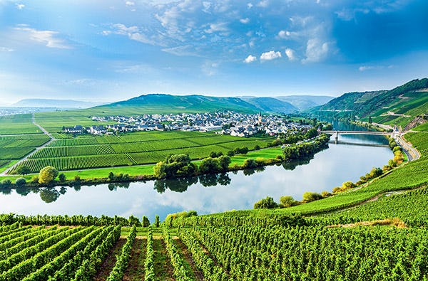 Weinbergwanderung mit Klettersteig an der Mosel