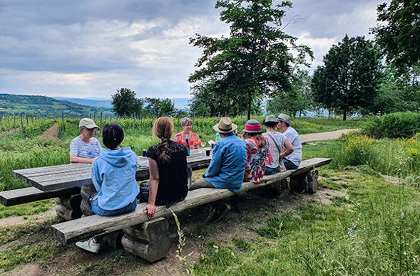 Weinwanderung Ingelheim am Rhein für 2 (2,5 Std.)