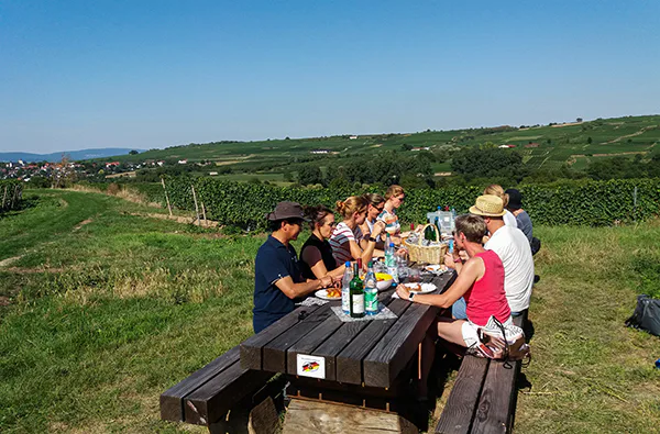 Weinwanderung Ingelheim am Rhein für 2 (2,5 Std.) - 2