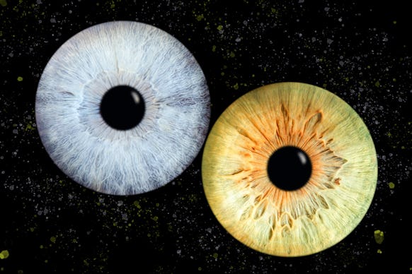 Iris Fotoshooting Compostion Haiger