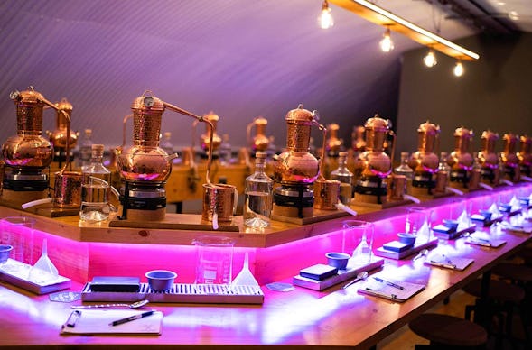 Gin Brennkurs Dortmund