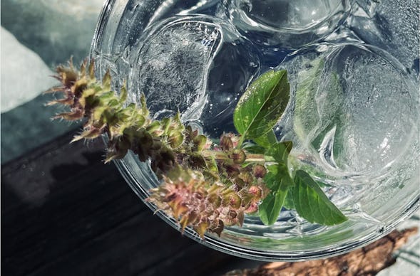 Gin Tasting Eppelheim