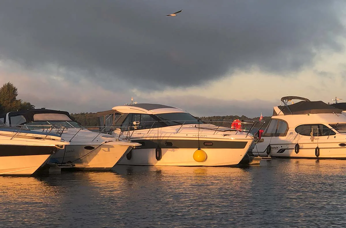 Motoryacht Waren (Family & Friends - 2 Std.) - 3