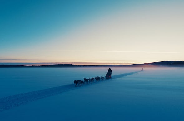 Abenteuerwoche Lappland mit Hundeschlitten für 2 (7 Nächte)
