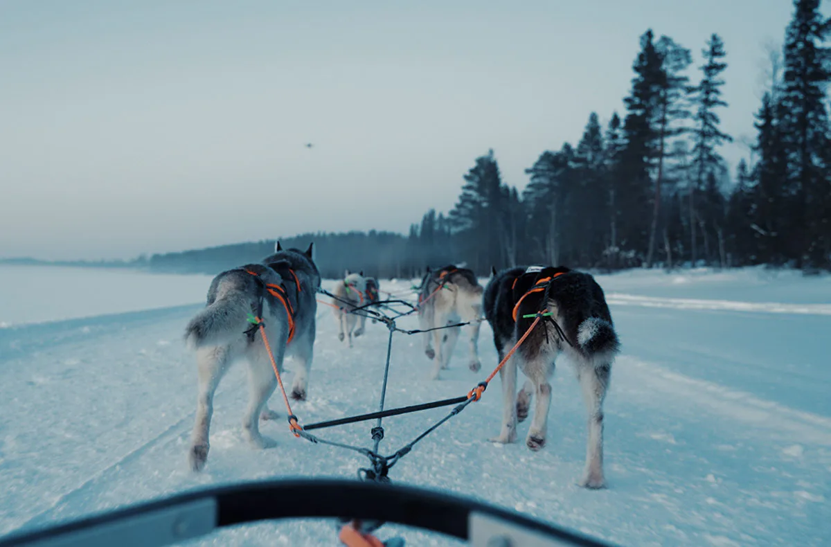 Abenteuerwoche Lappland mit Hundeschlitten für 2 (7 Nächte) - 3