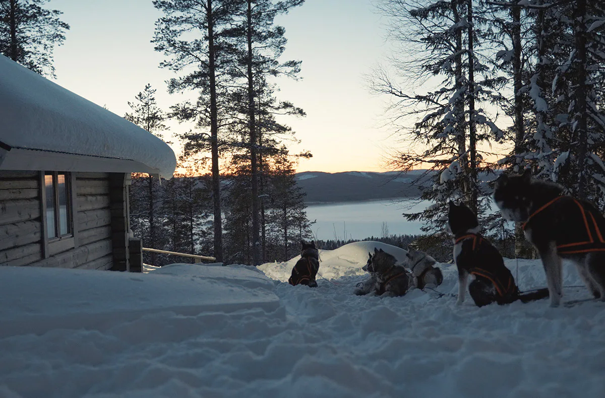 Abenteuerwoche Lappland mit Hundeschlitten für 2 (7 Nächte) - 5