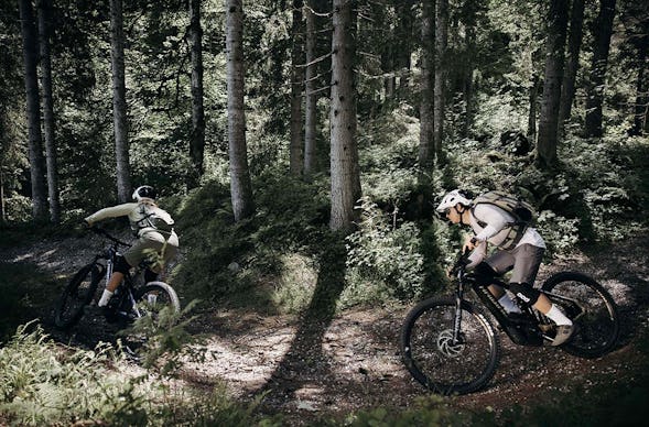 Aktivurlaub mit Hund in Flachau für 2 (1 Nacht)