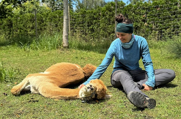 Alpaka Auszeit Übersee