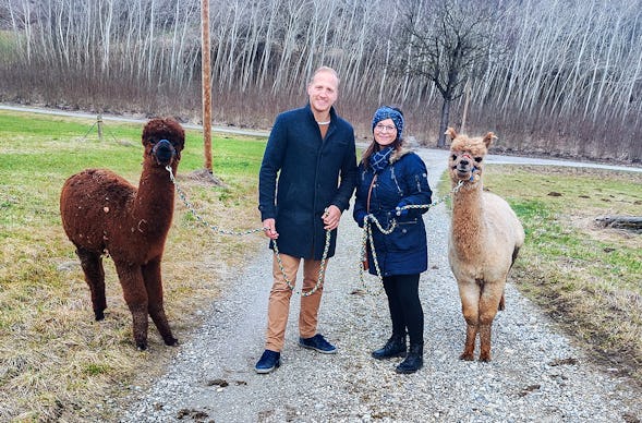 Alpaka Wanderung für 2 Jettingen-Scheppach