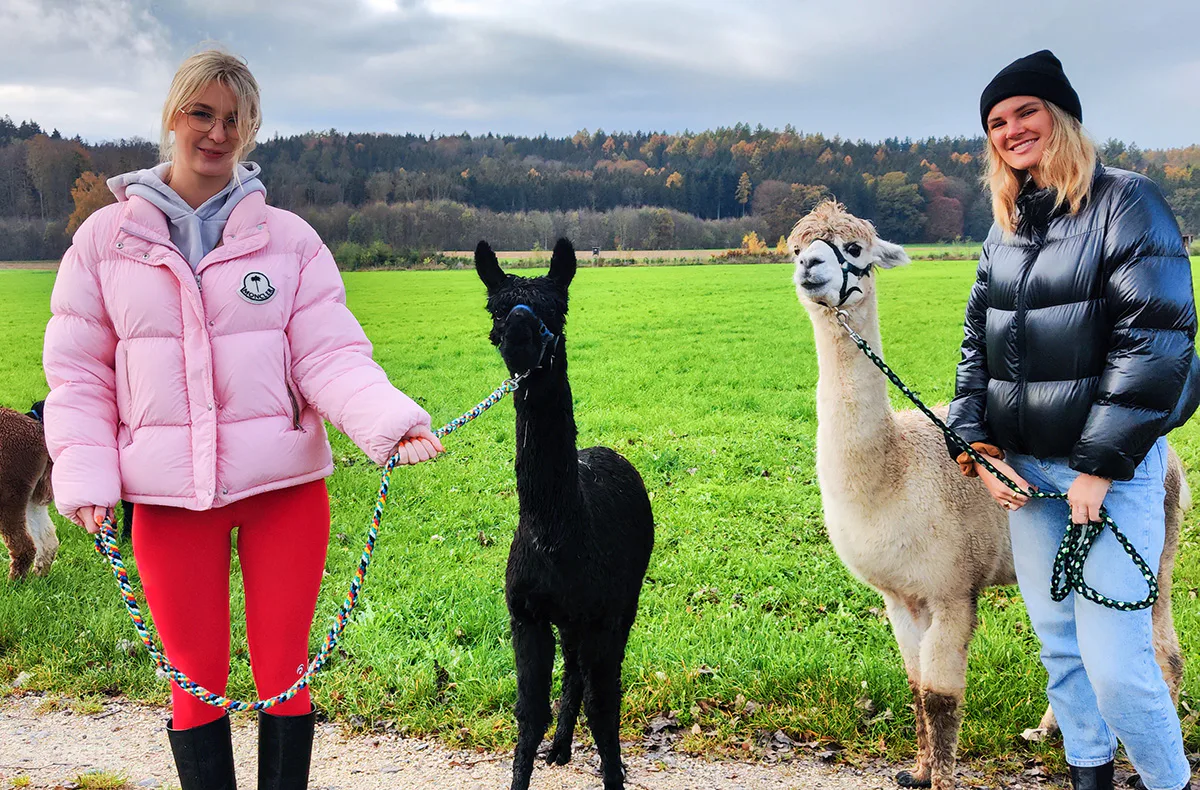 Alpaka Wanderung für 2 Jettingen-Scheppach - 3