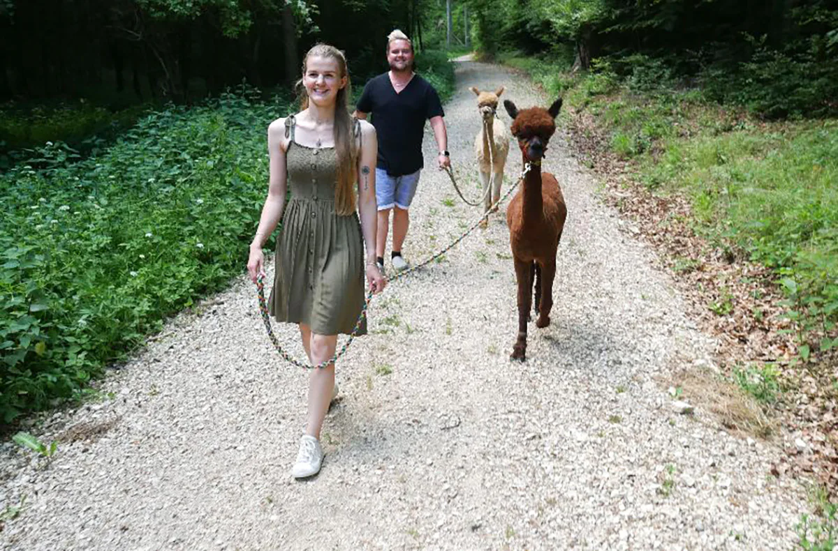 Alpaka Wanderung für 2 Jettingen-Scheppach - 4