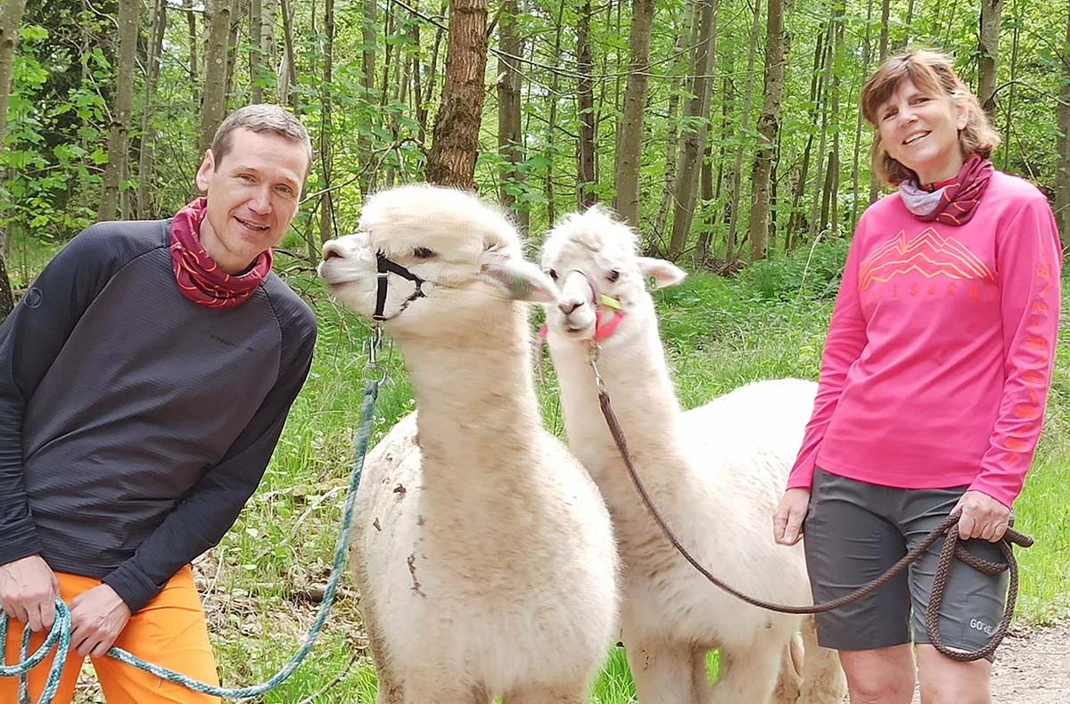 Alpaka Wanderung mit Picknick für 2 Waldenbuch - 2