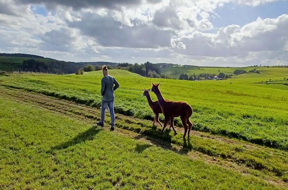 Alpakawanderung Plütscheid (2 Std.)