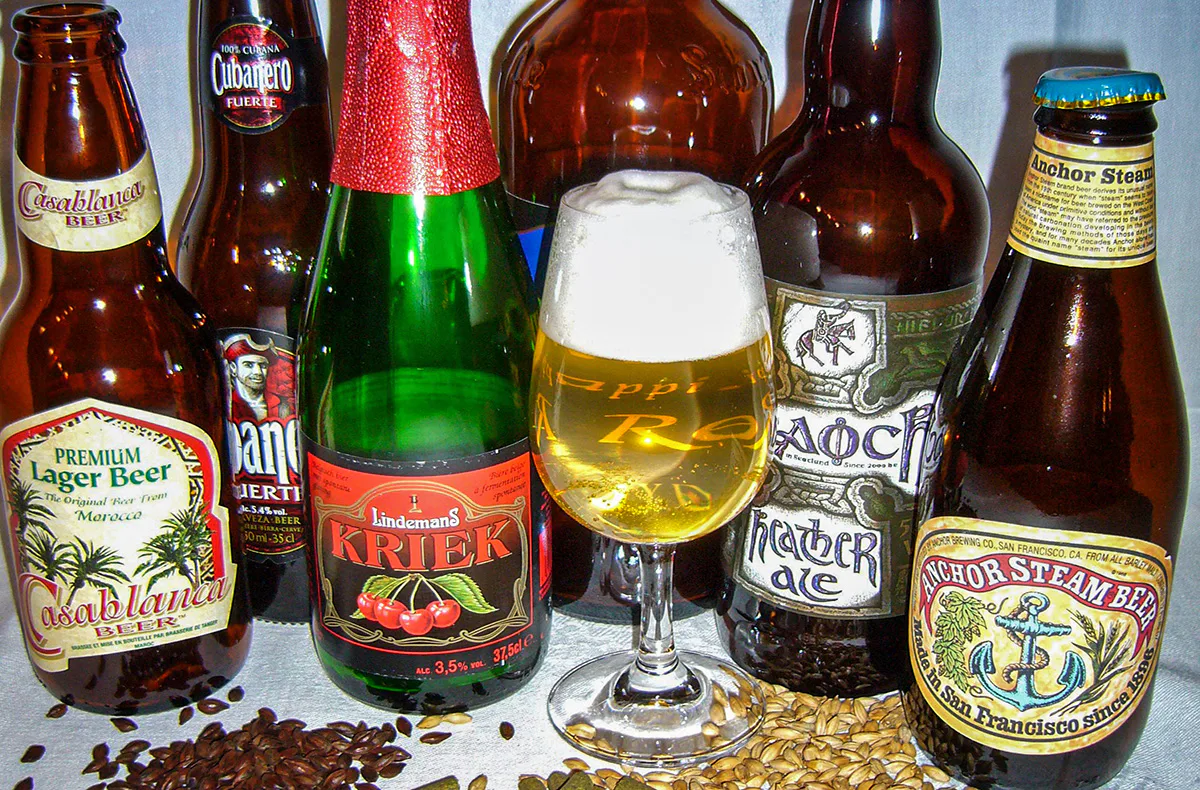 Bier Tasting Hattersheim am Main - 3