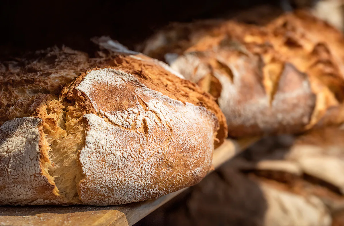Brotback-Kurs Sulzemoos - 3