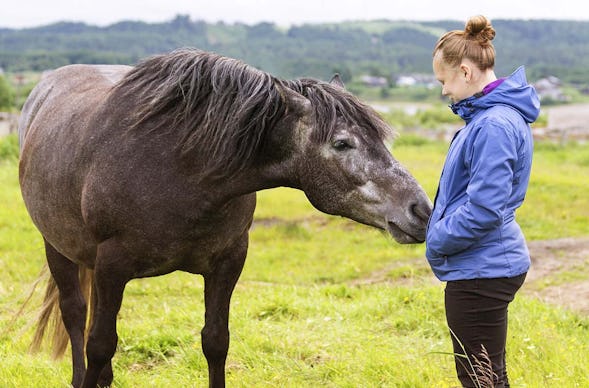 Coaching mit Pferden Grumbach