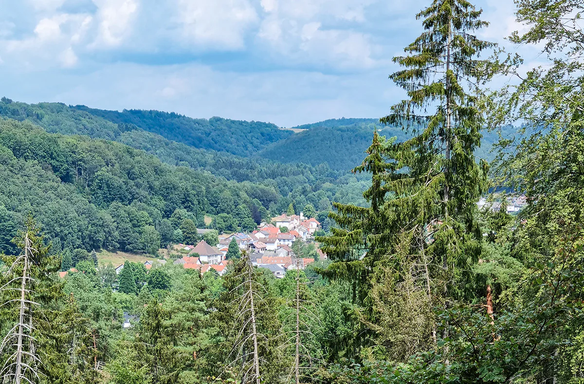 Eselwanderung Eppenbrunn für 2 (2 Std.) - 3