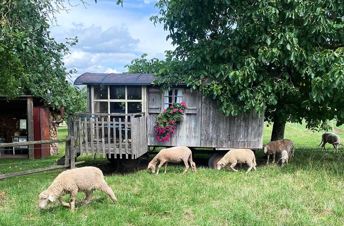 Familienurlaub im Bienenwagen (2 Nächte) - 1