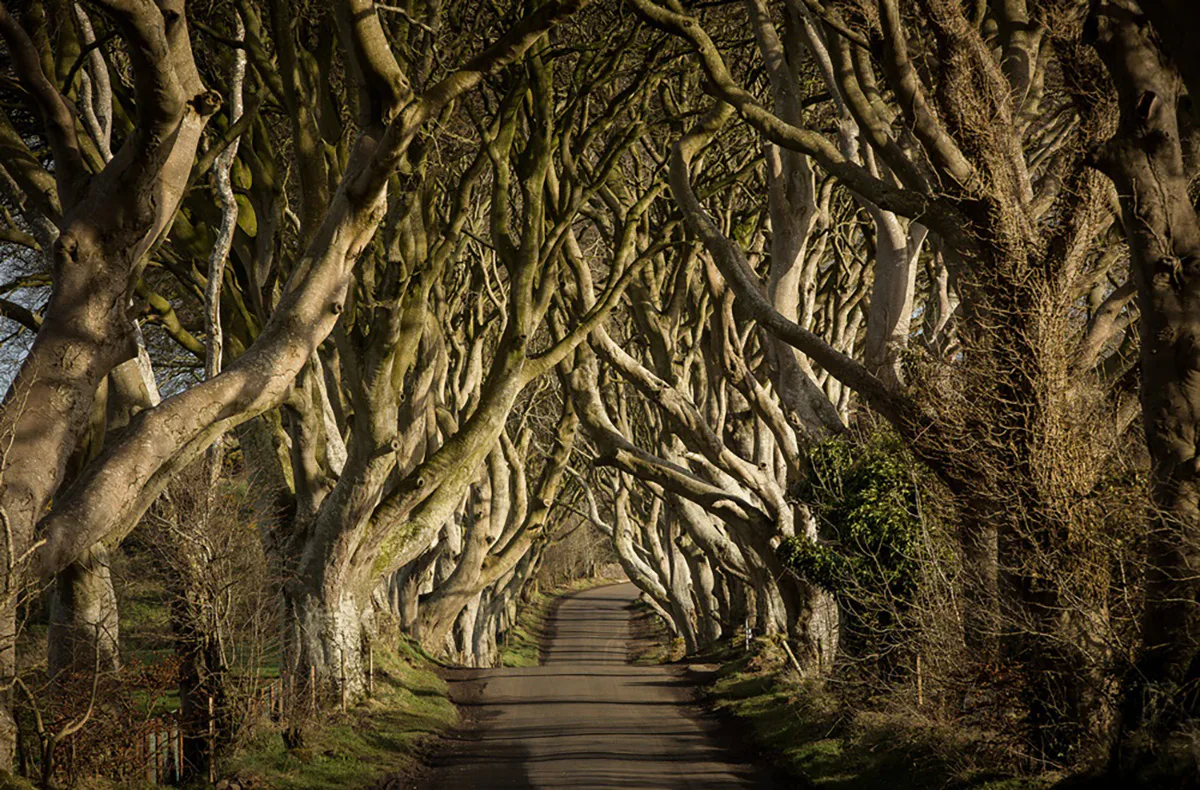 Game of Thrones Filmreise Irland (4 Nächte) - 6
