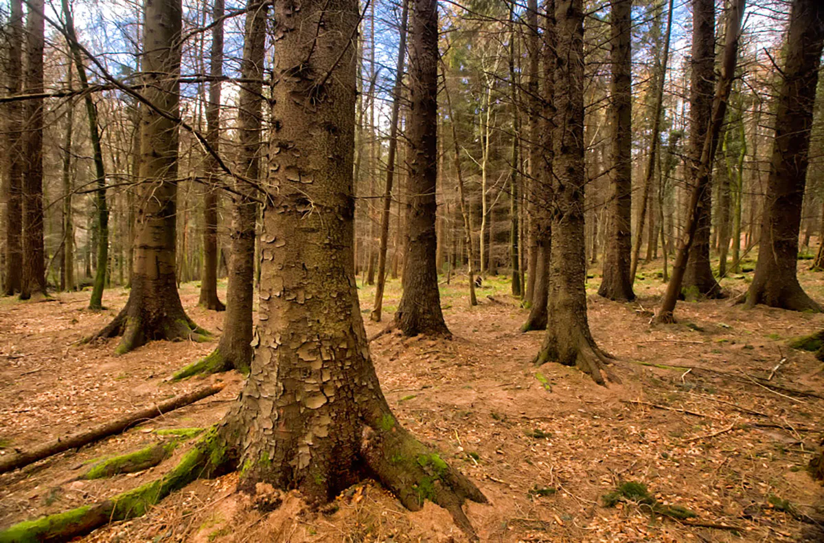 Game of Thrones Filmreise Irland (4 Nächte) - 5